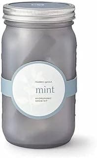 Mason Jar Indoor Herb Garden - Mint