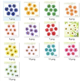 1080 pcs Pressed Press Dried Daisy Dry Flower Plants for Epoxy Resin Pendant Necklace Jewelry Making Craft DIY Accessories (Note Color You Want) image