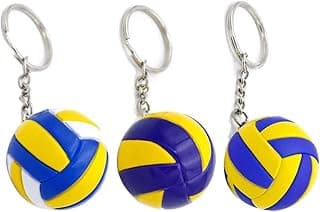 Weichen Volleyball Keychain image