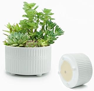 Plant Pots Indoor with Drainage Hole and Mesh Cricle,Elegant Round White Ceramic Pots for Succulents Plants, Diameter 6.5/8 Inches Large Flower Planters Set of 2 image