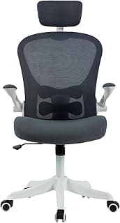 Gaming Chairs Computer Gaming Chairs Gaming Chair, Gaming Chairs for Adults, Reclining Gamer Chair Ergonomic Office Chair Computer Desk Chair Video Game Chair (SPW1220, Grey) image