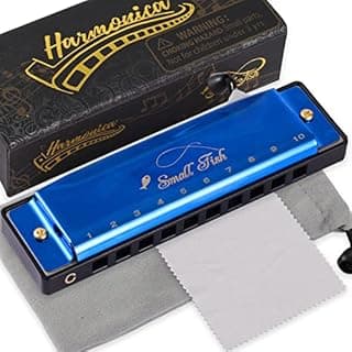Harmonica for Kids Toddlers and Adults, Beginners Blues Musical Instrument Toy with 10 Holes and 20 Notes, Stainless Steel Diatonic Key of C Mouth Organ Set, Easter Basket Stuffers, Birthday Gifts image