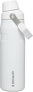 Stanley IceFlow Fast Flow Water Bottle | Angled Spout Lid | Lightweight & Leakproof for Travel & Sports | Insulated Stainless Steel | BPA-Free image