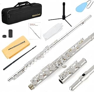 Silver Plated Flute Instrument for Beginner Student, Closed Hole Flutes 16 Keys C Flute with a Carrying Case, Stand, and Cleaning Kit, Tuning Rod, Gloves image