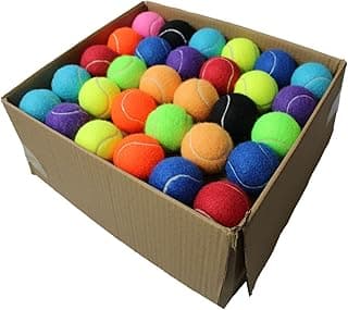 Swingers Tennis Balls，80 Pack Training Tennis Balls, Practice Balls for Pet Dog, High Elasticity Exercise Tennis Balls for Beginner, with Mesh Carry Bag Easy to Transport