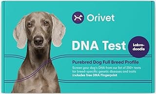 ORIVET Dog DNA Test Kit - Labradoodle Full Breed Profile | Puppy Testing Against 250 Medical Health Risks & Traits | Genetic Fingerprint & Wellness Plan | at Home Cheek Swab | Fast image