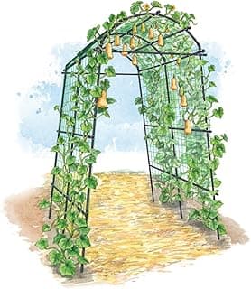Gardener’s Supply Company Extra Tall Garden Arch Arbor 80in Titan Squash Tunnel | Lightweight Metal, Trellis Plant Stand for Climbing Vines | Outdoor Lawn Tower & Garden Support Structure image