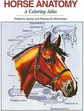 Horse Anatomy: A Coloring Atlas image
