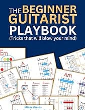 The Beginner Guitarist Playbook image