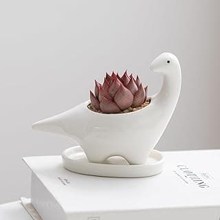 White Ceramic Dinosaur Succulent Pots, Small Cute Animal Flower Planter for Home Office Home Indoor Outdoor Garden Decor Great Gift Idea image