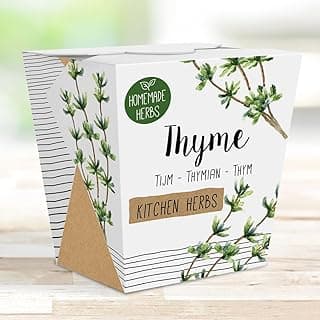 Homemade Herb Kit – All-in-One Kitchen Thyme – Indoor Garden Planter - Grow Your own Edible Herbs – Live Seeds Ready to Plant – Pleasantly Scented