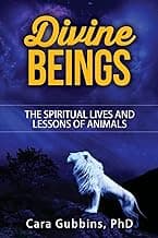 Divine Beings: The Spiritual LIves and Lessons of Animals (Teachings from Animal Totems and Spirit Guides)