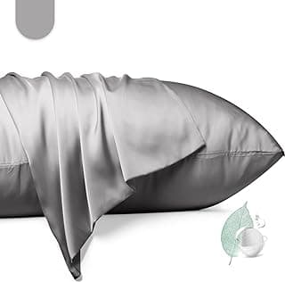 100% Mulberry Silk Pillowcase 2 Pack,Standard Size Silk Pillow Cases for Hair and Skin,Silky Smooth Bed Pillow Cover with Hidden Zipper,Natural Silk Pillow Case Set of 2 (Gray, Standard 20X26) image