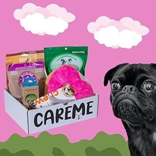 Care Me- Customizable Birthday Gift Box for Dogs, Filled with 2 Toys, 2 Healthy Treats, a Accessories and a Gift Card. with Each Purchase Donate to Homeless Dogs. image