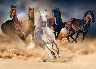 Jigsaw Puzzles for Adults 1000 Pieces Family Game Horse 1000 Piece Puzzle Thick Sturdy Precise Interlocking Age 14+ image