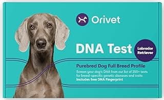 ORIVET Dog DNA Test Kit - Labrador Retriever Full Breed Profile | Puppy Testing Against 250 Medical Health Risks & Traits | Genetic Fingerprint & Wellness Plan | at Home Cheek Swab image