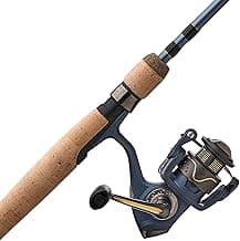Pflueger President Spinning Reel and Fishing Rod Combo image