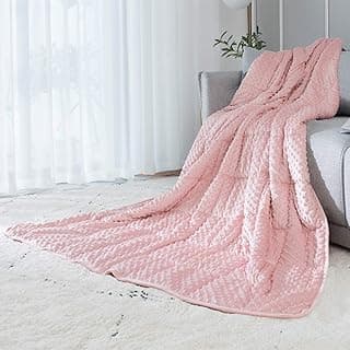 ALANSMA Reversible Weighted Blanket for All Season, Luxury Velvet, Warm and Cool, Adult Kids 15Lb Weighted Blanket, Enjoy Sleeping Anywhere(Pink,60"x80" 15lbs) image