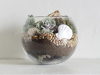 Succulent Terrarium Kit | Brown Pebbles and Moss Glass Bowl