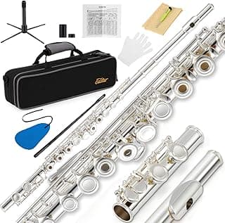 Eastar C Flutes Open Hole 16 Keys Flute for Beginner Kids Student Flute Instrument with Fingering Chart, Cleaning Kit, Stand, Carrying Case, Gloves, Tuning Rod, Silver, EFL-2 image