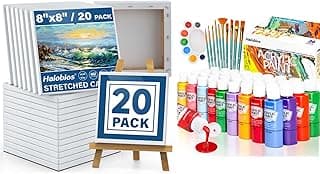 Painting Set Art Supplies, Stretched Canavases 8x8 inch 20 Pack and 36 Colors Acrylic Paint Set for Kids, Beginners and Adults, All Kinds Kept in Stock Painting Set for School Project