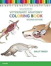 Veterinary Anatomy Coloring Book image