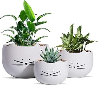 Cute Cat Flower Pot Cactus Succulent Plant Pots Ceramic Planters White Set of 3 image
