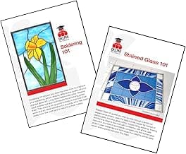Delphi 101 Instructional DVD - 2 Pack image