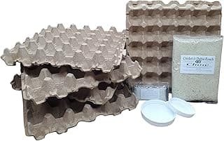 Dubia Roach Colony Starter Kit with 1 Pound of Feeder Insect Chow for Earthworms, Hissing Cockroaches, Breeding Insects, Gut Loading, for Reptiles image