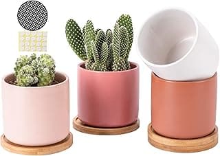 AOMRYOM 4 Inch Ceramic Plant Pots with Drainage Holes and Trays, Adorable Flower Planter for Indoor Outdoor Plants, Succulent, Cactus, Herbs, Multicolour, Set of 4 (Plant Not Included)