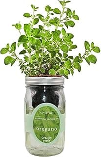 Hydroponic Herb Growing Kit, Self-Watering Mason Jar Herb Garden Starter Kit Indoor, Grow Your Own Herbs from Organic Seeds (Oregano) image