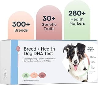 Basepaws Dog DNA Testing Kit - 300+ Breeds, 280+ Health Risks, and 30+ Traits - Comprehensive Health, Trait, and Mixed Breed Identification, Dog DNA Test kit, Test Dogs Genetic Ancestry and Heritage image