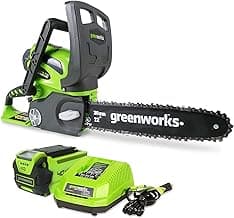 Greenworks 40V 12" Cordless Compact Chainsaw (Great For Storm Clean-Up, Pruning, and Camping), 2.0Ah Battery and Charger Included image