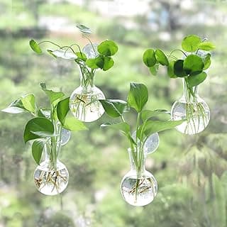 4 pcs Window Propagation Stations, Easy to Install Plant Propagation Bulbs with Suckion Cups, No Nails Wall Hanging Planter Propagation Station, Glass Plant Terrarium Vase image
