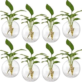 Layhit 8 Pcs Wall Hanging Planters Terrarium Glass Planter Propagation Wall Mounted Planter Oblate Flower Vase Clear Glass Plant Containers for Hydroponics Plants Home Office Garden Decor image