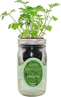 Hydroponic Herb Growing Kit, Self-Watering Mason Jar Herb Garden Starter Kit Indoor, Windowsill Herb Garden, Grow Your Own Herbs from Organic Seeds (Parsley) image
