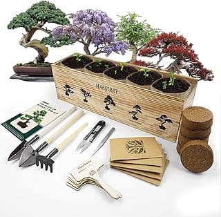 Bonsai Tree Kit, 5 X Unique Japanese Bonsai Trees, Include Bonsai Tree Seeds, Tools, Complete Indoor Bonsai Starter Kit for Growing Bonsai Plants, Gardening Gifts for Women & Men image