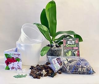 Elit Orchid repotting kit, 6 inch Orchid Pot with Hiqh Quality Mix, Fertilizer and Clips