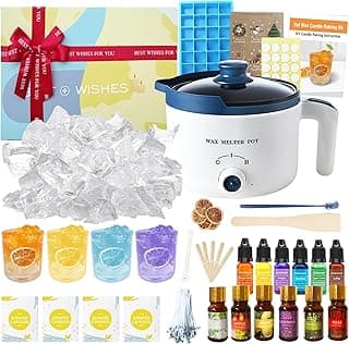 Gel Wax for Candle Making Clear Kit for Adults, DIY Transparent Jelly Wax Set with Electric Melter, Glass Jars, Wick, Dyes and Scents