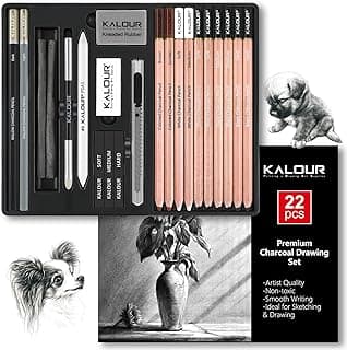 KALOUR PDAS 22pcs Charcoal Drawing Set, Professional Art Supplies, Black & White Charcoal Pencils for Drawing, Sketching, Shading, Blending, Artist Pencils for Beginners & Pro Artists image