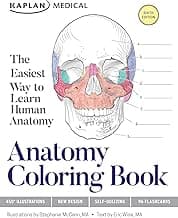 Anatomy Coloring Book image