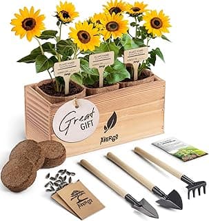 Sunflower Seeds Growing Kit – Complete Indoor & Outdoor Kit with Sunflower Seeds for Planting, Planter, Soil, Tools, Instructions – Ideal for Planting Sun Flowers at Home image
