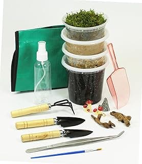Terrarium Kit/Terrarium Jar DIY Succulent Live Moss Kit Nutritive Soil with Micronutrient, Gravel,Sand,Terrarium Supplies Plant Moss Set Potting Tarp Mat, Build for Adults Kids (Large Kit) image
