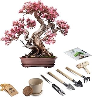 Bonsai Starter Kit – 1x Crape Myrtle Bonsai Tree | Complete Indoor Starter Kit for Growing Bonsai Plants with Tools & Planters – Gardening Gifts for Women & Men image