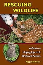 Rescuing Wildlife: A Guide to Helping Injured & Orphaned Animals image