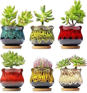 Cute Ceramic Succulent Planters, Garden Pots with Drainage and Attached Saucer, Set of 6 - Plants Not Included image
