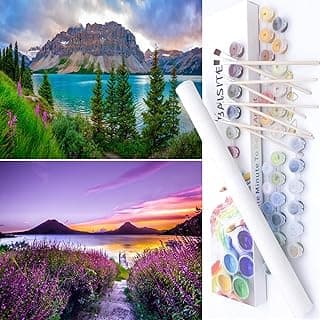 BAISITE Paint by Numbers Kit for Adults Beginners,12" Wx16 L 2 Pack Canvas for Painting Kits for Adults in Colorful Box-PBN271-272 image