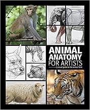 Animal Anatomy for Artists: A visual guide to the animal form