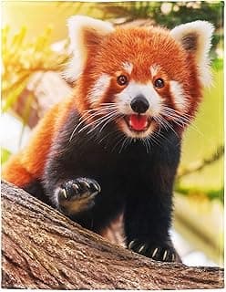 Red Panda Blanket Cute Little Panda Fleece Blanket Soft Fuzzy Plush Throw Blankets for Couch Bed 50"x60"
