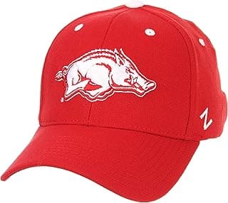 ZHATS Men's Stretch Fitted Hat Team Color image